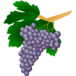 Logo of Grape varieties android Application 