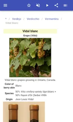 Grape varieties android App screenshot 9